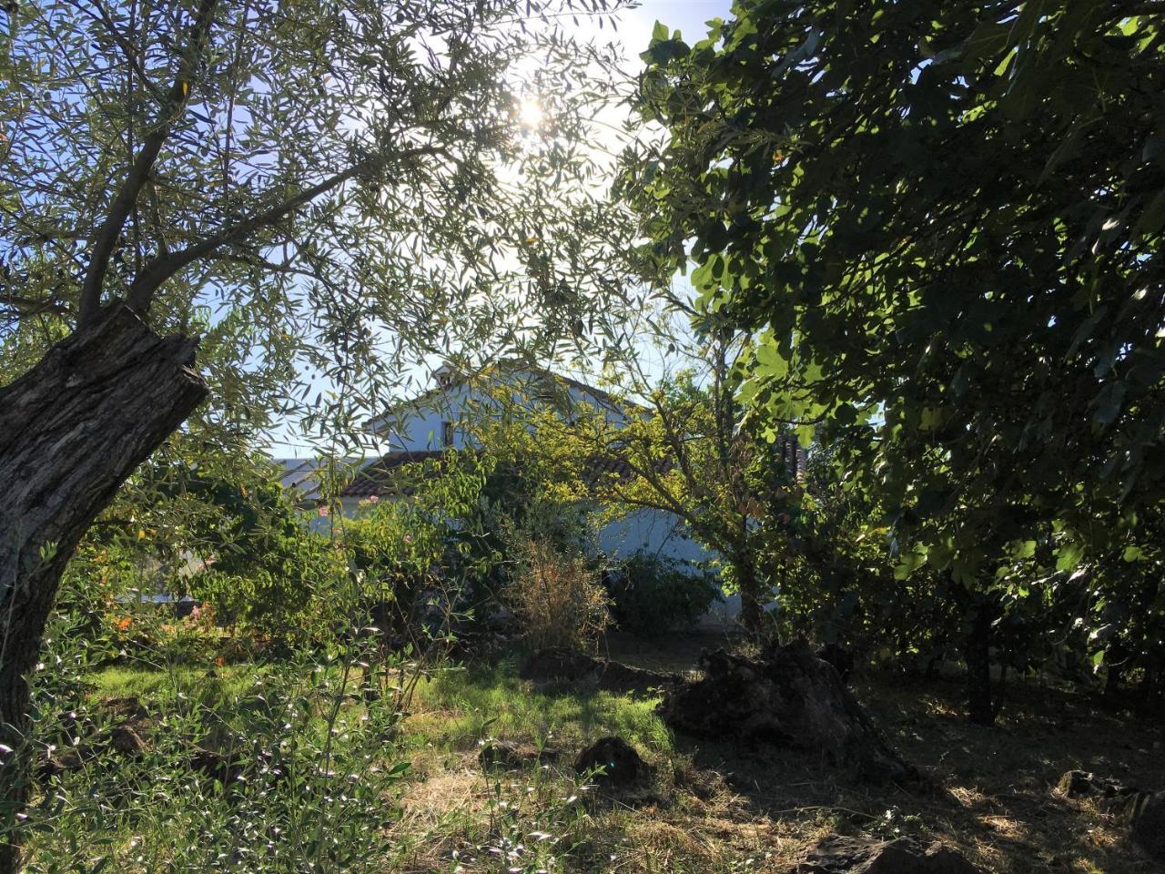 Finca Horno De Cal Aracena Buitenkant foto